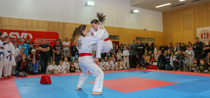 Steirische Landesmeisterschaft Jiu Jitsu 2019